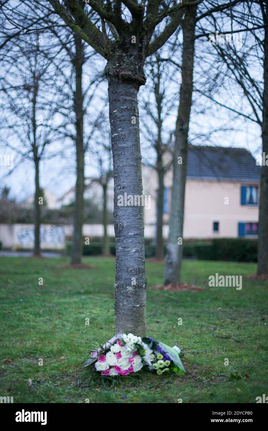 A tree planted 10 years ago on memory of missing Estelle Mouzin is pictured in Guermantes, France on January 13, 2013. Estelle, aged 9, disappeared on her way home from school on Thursday 9th January, 2003. Photo by Audrey Poree/ABACAPRESS.COM Stock Photo