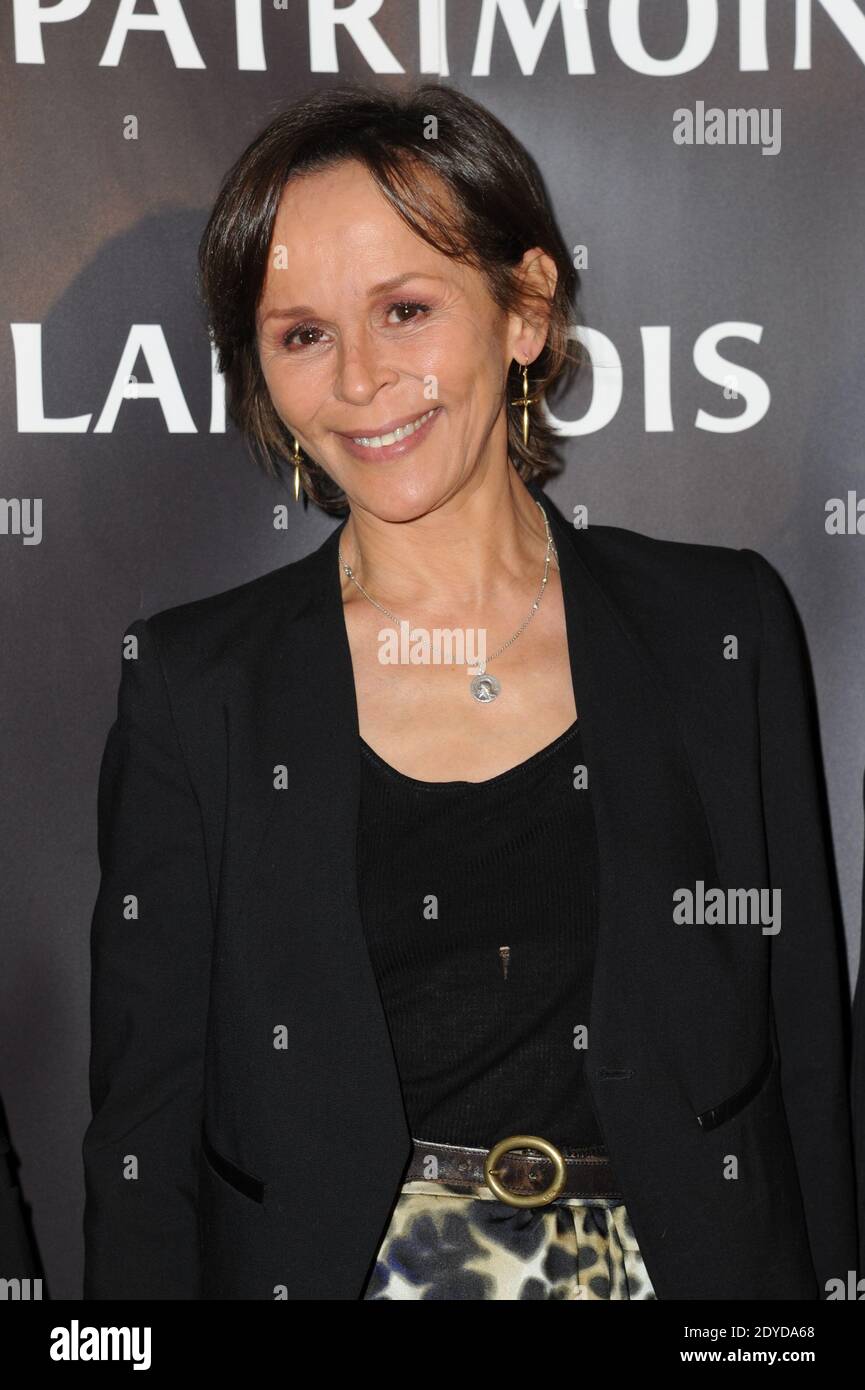 Christine Boisson attending the opening ceremony of the 8th Rencontres Internationales du Cinema de Patrimoine and Prix Henri Langlois (International Meeting of Patrimonial Cinema and Henri Langlois Awards) held at the City Hall of Vincennes, near Paris, France on January 28, 2013. Photo by Mireille Ampilhac/ABACAPRESS.COM Stock Photo