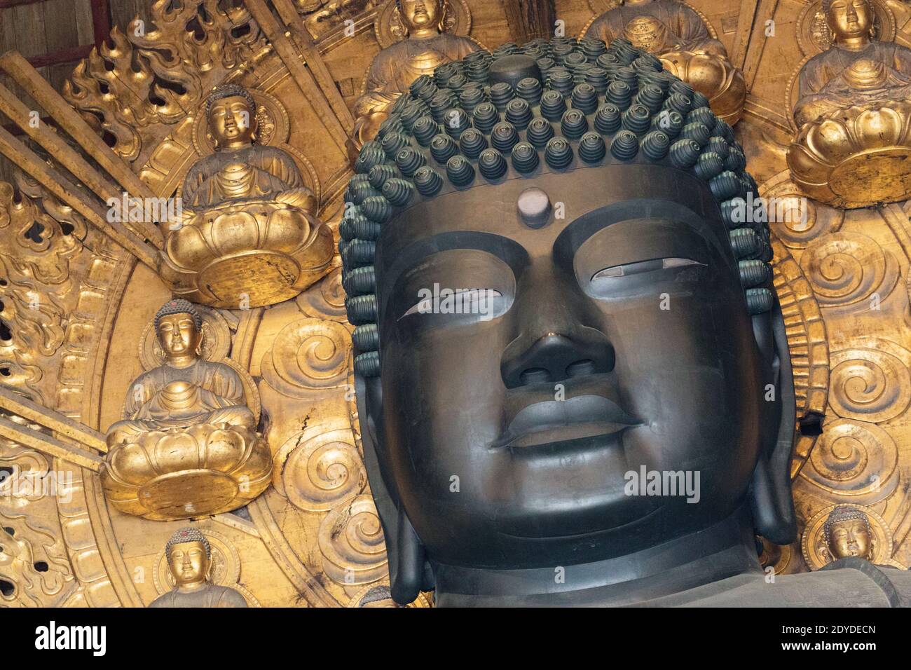 Japan Nara Detail of the world's largest bronze statue of the Buddha