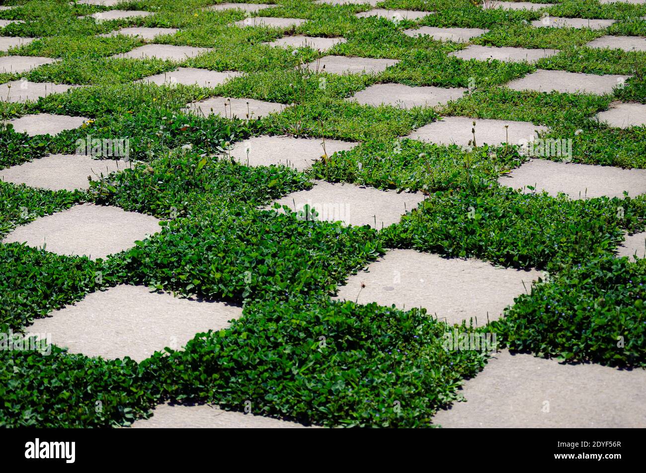 Grass tiles Stock Photo