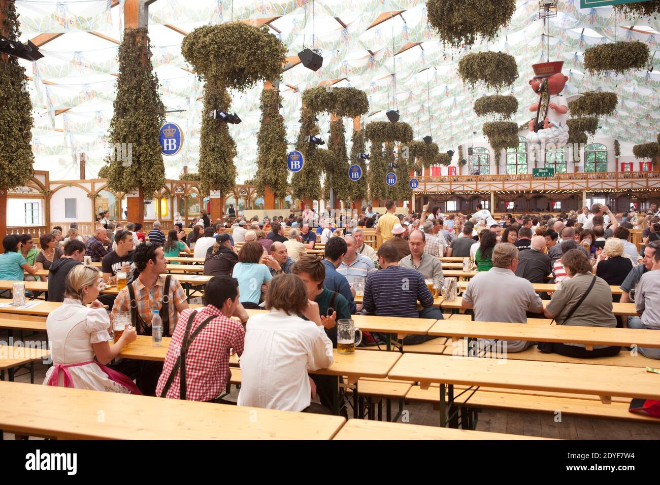 Germany Munich Revellers at Octoberfest on the Theresienwiese in Munich  Inside The Hofbrau Tent Stock Photo - Alamy