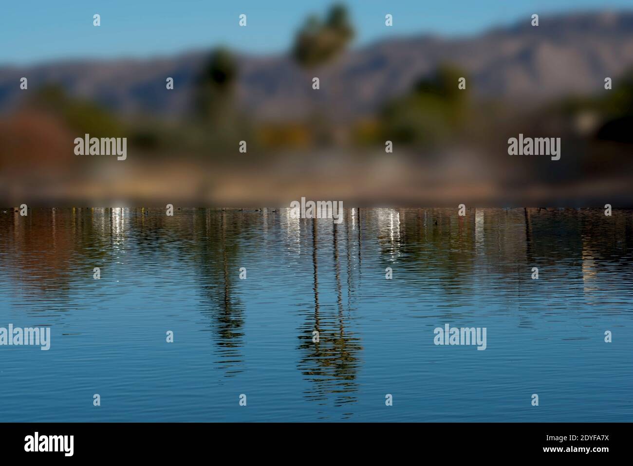 Reflections of trees on lake water Stock Photo - Alamy