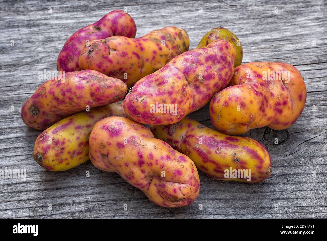 Ullucus tuberosus hi res stock photography and images Alamy