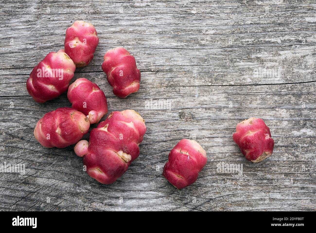 New Zealand yam (Oxalis tuberosa), also called uqa or oca. This exotic, bright red root is a