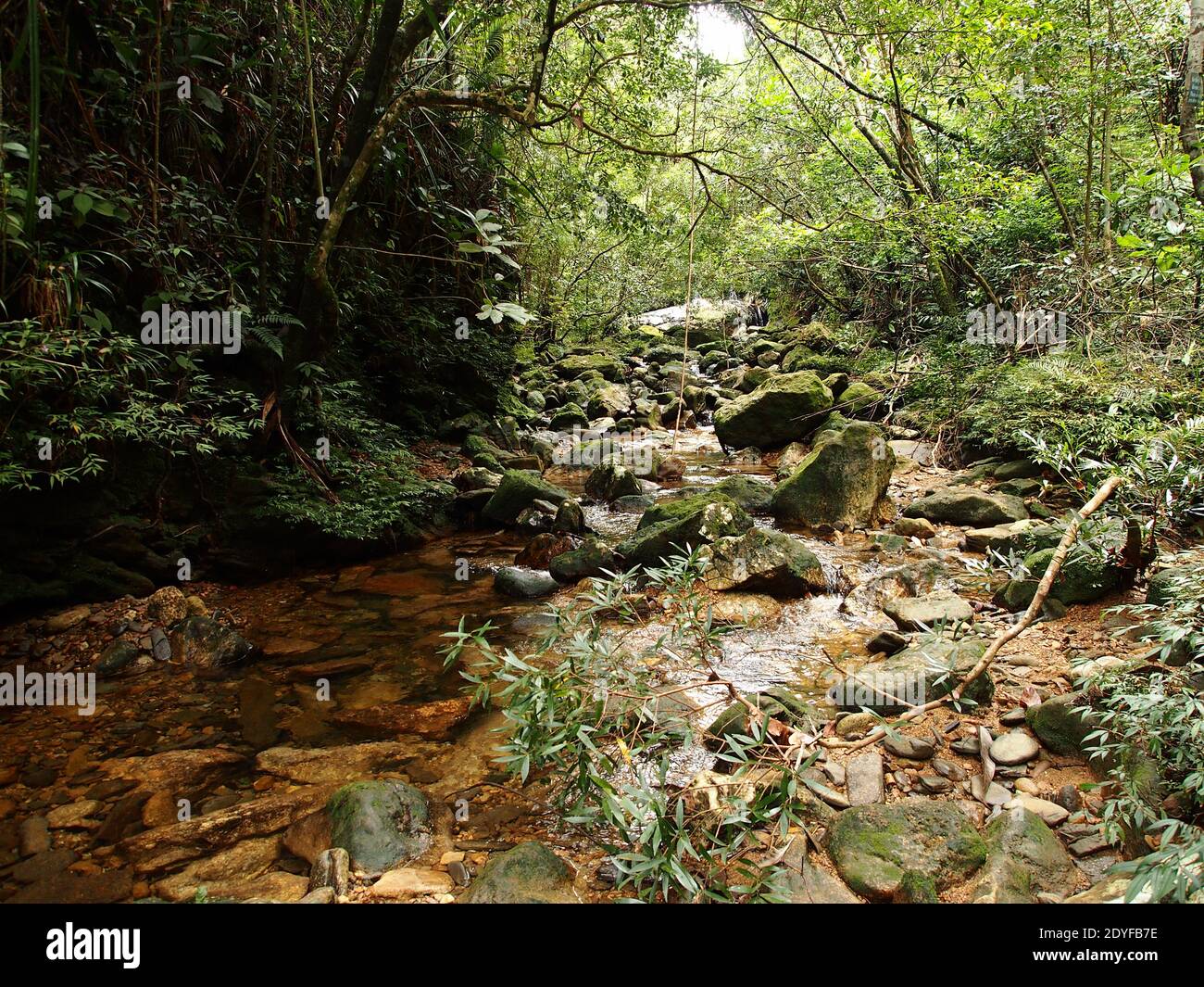 Bach ma national park hi-res stock photography and images - Alamy