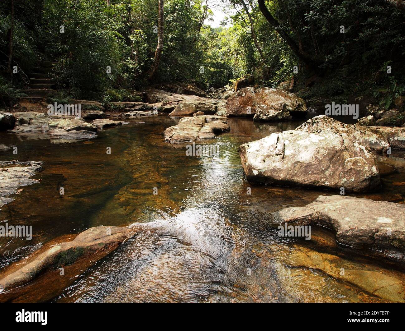 Trekking in Bach Ma mountain National park in Central Vietnam Stock ...