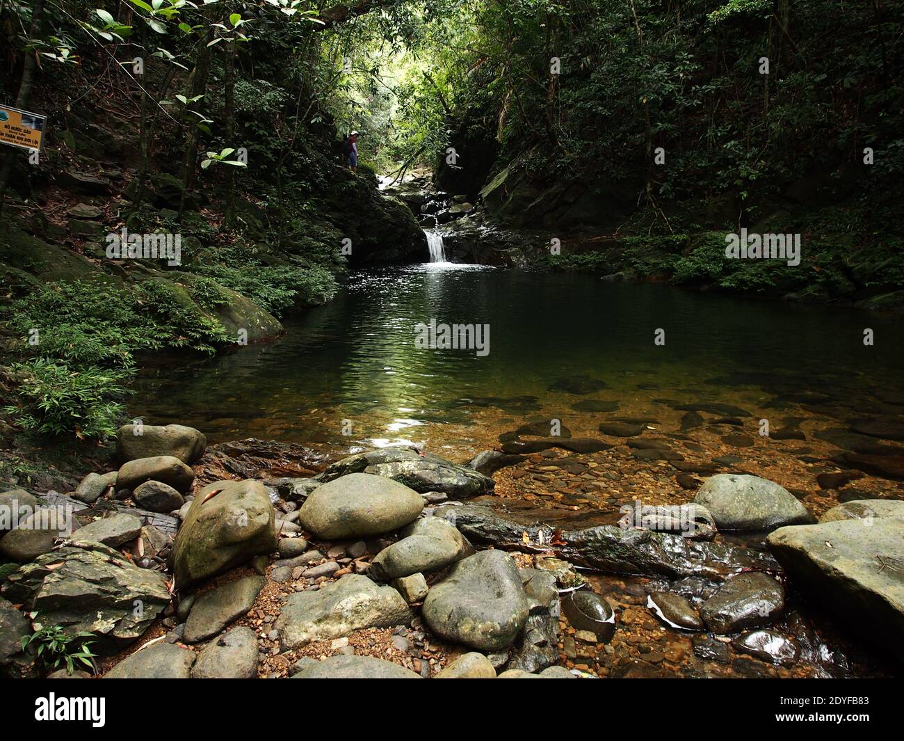 Trekking in Bach Ma mountain National park in Central Vietnam Stock ...