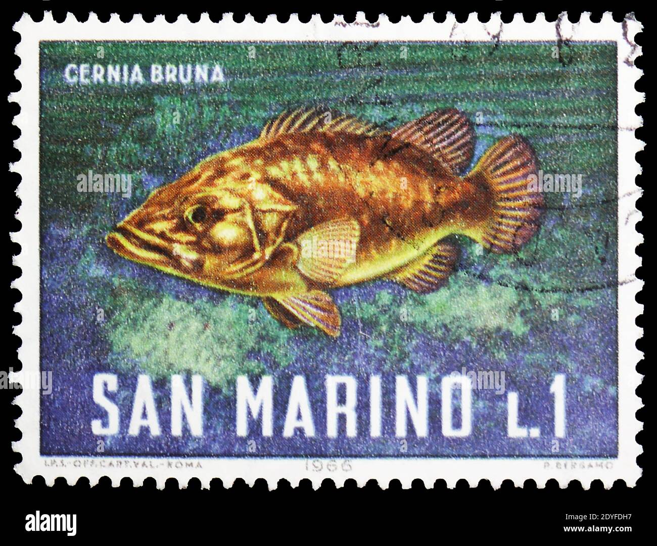 MOSCOW, RUSSIA - MAY 25, 2019: Postage stamp printed in San Marino shows Atlantic Wreckfish (Polyprion americanum), Marine Life serie, circa 1966 Stock Photo