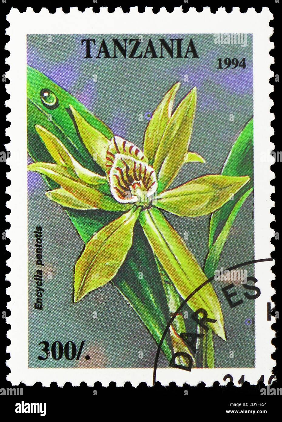 MOSCOW, RUSSIA - MAY 25, 2019: Postage stamp printed in Tanzania shows Encyclia pentotis, Tropical Flowers serie, circa 1994 Stock Photo