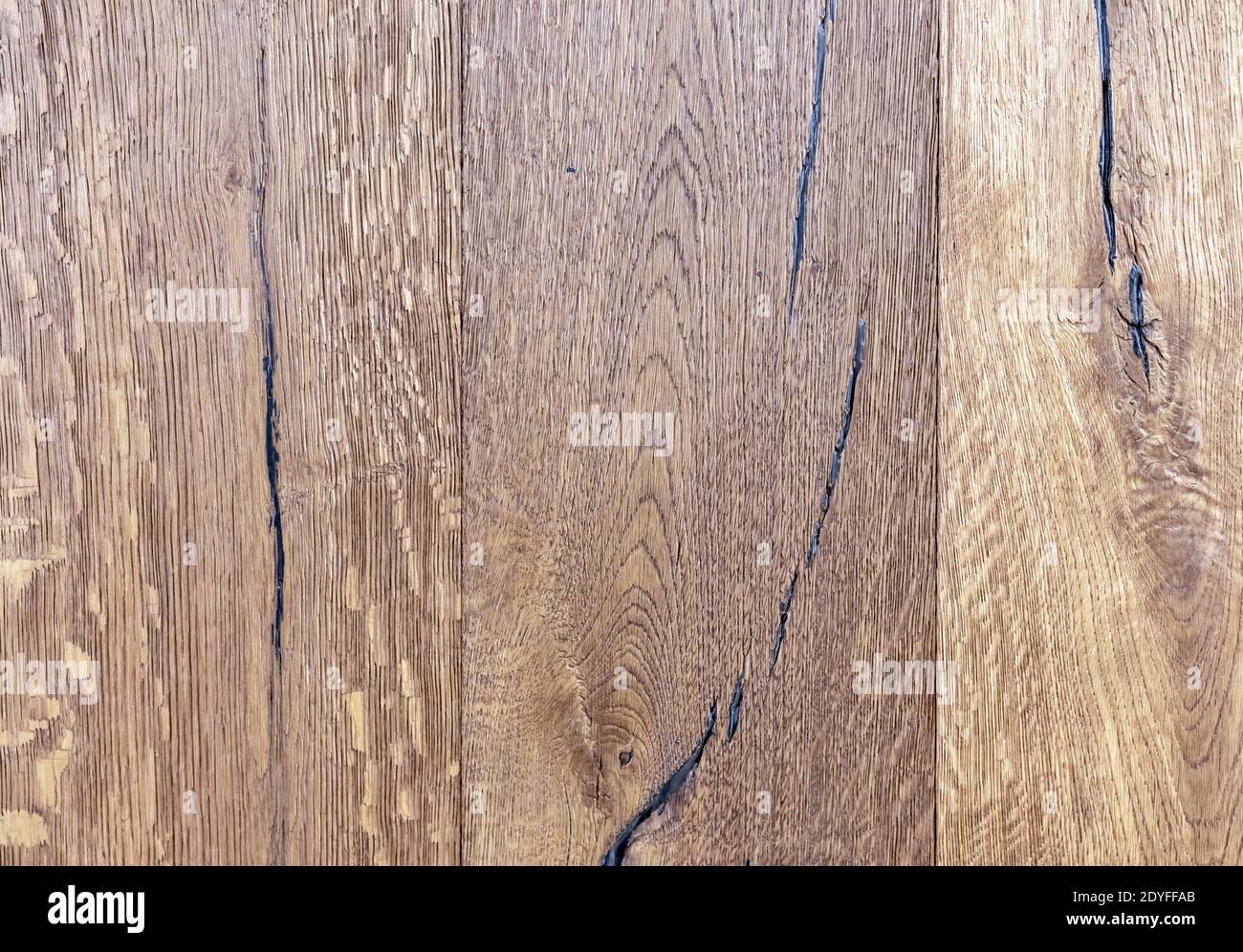 Oak boards with fibers and knots. Wood texture. Stock Photo