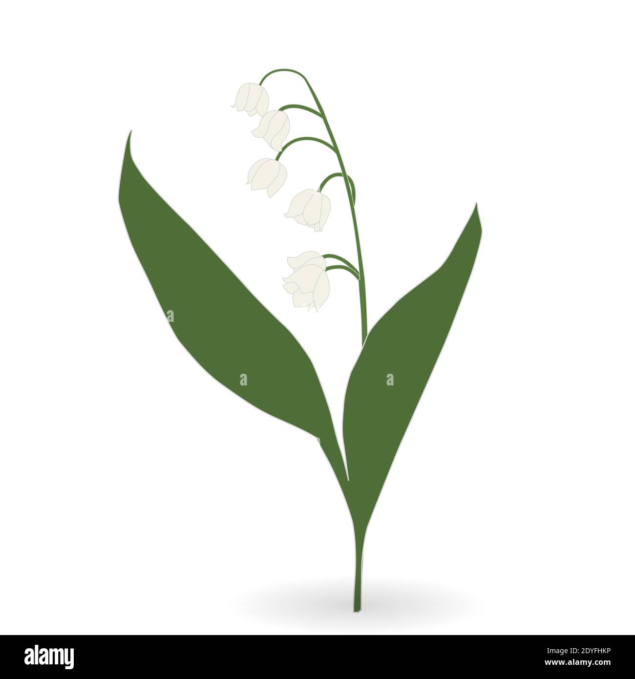 Lily of the valley vector hi-res stock photography and images - Alamy