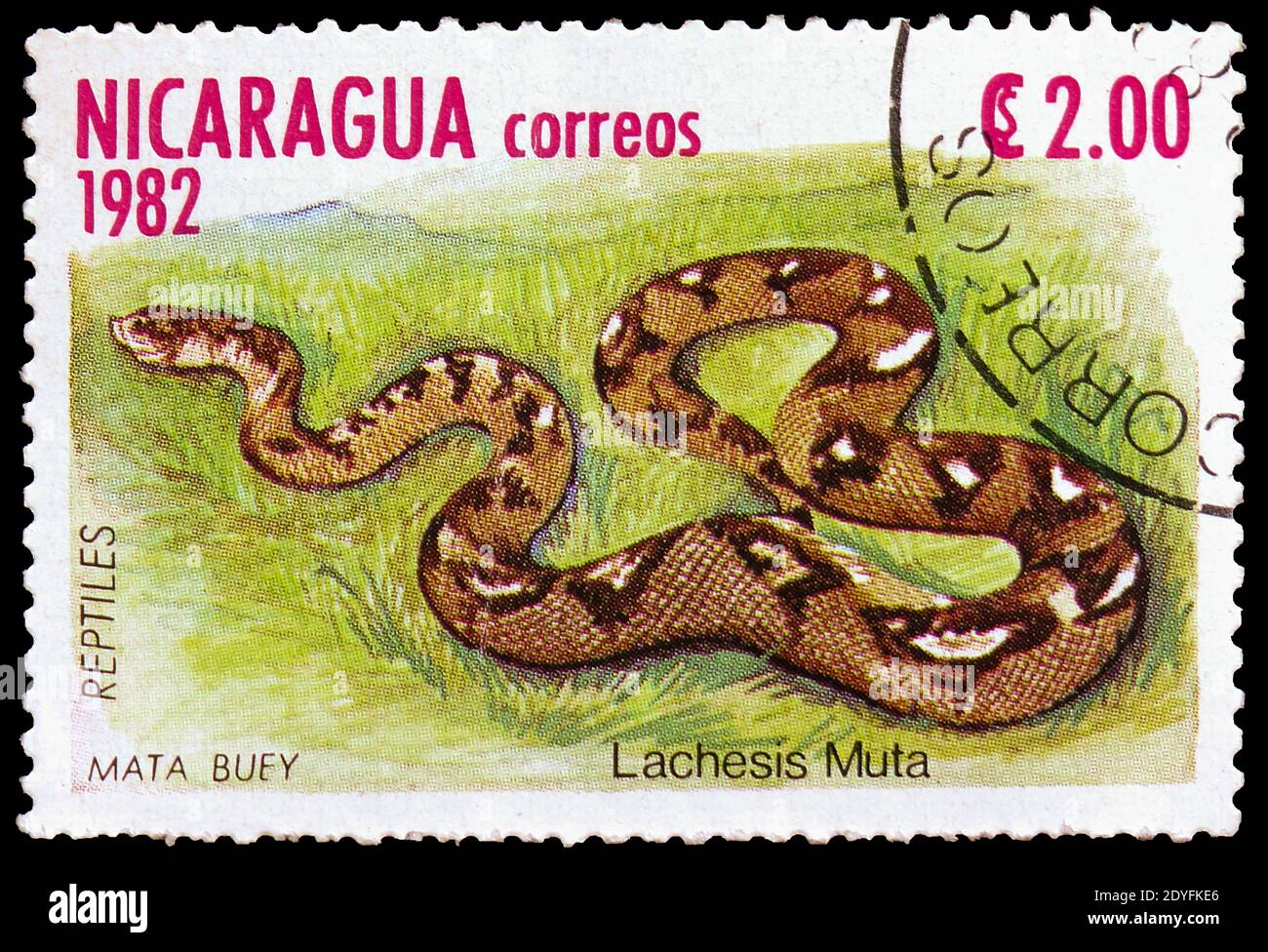 MOSCOW, RUSSIA - MARCH 23, 2019: Postage stamp printed in Nicaragua shows South American Bushmaster (Lachesis muta), Reptiles serie, circa 1982 Stock Photo