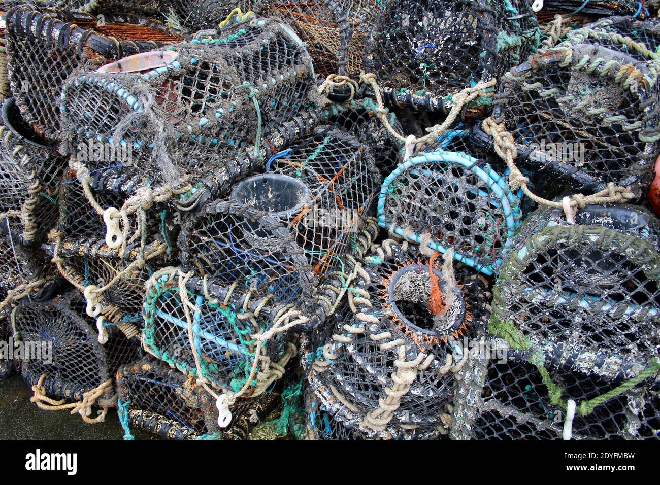 Shellfish Lobster Crab Pots UK Fishing Megavissy Harbour Port Stock Photo Alamy