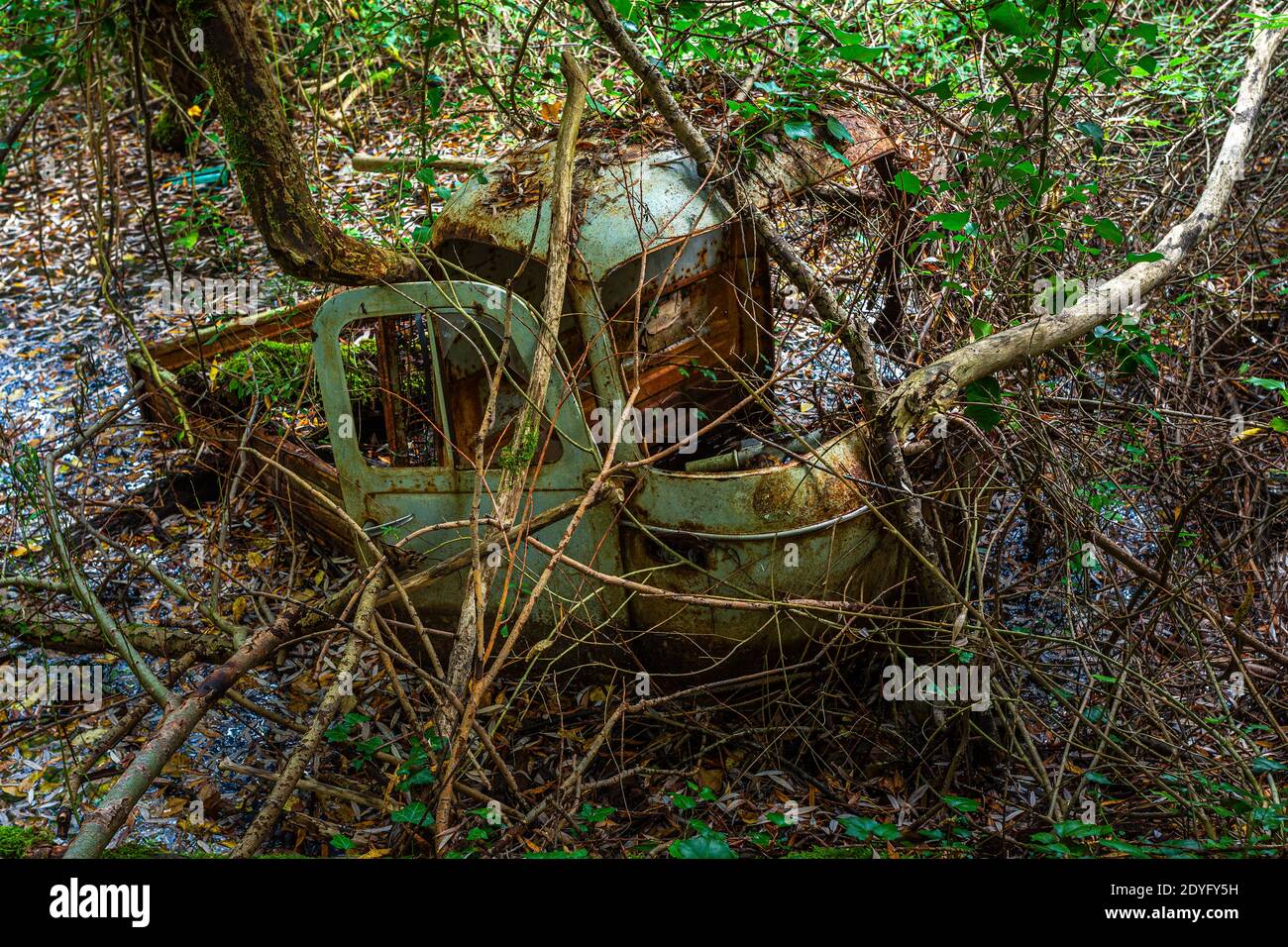 An old and rusty Apecar abandoned in the woods. Abruzzo, Italy, Europe Stock Photo
