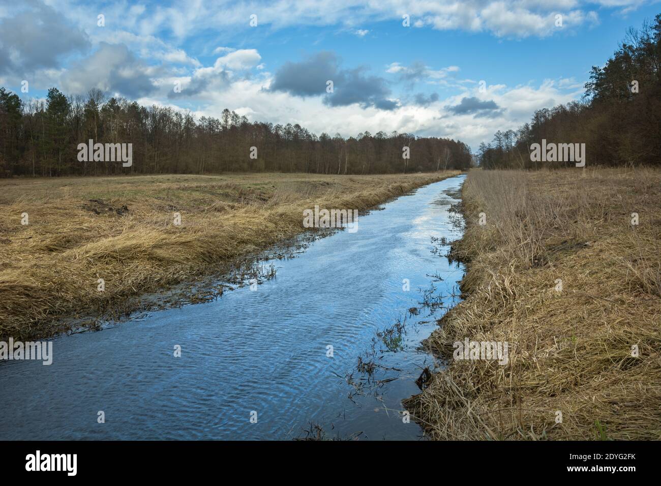 A calm river and dry grasses on the banks, forest and clouds Stock Photo