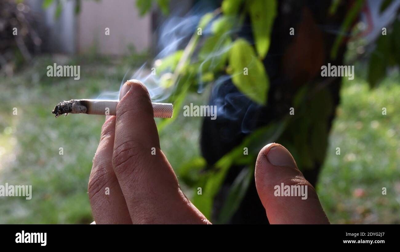 Closeup of flying gray smoke from cigarette holding in dirty fingers of male hand at outdoor blurred background. Grey ash on end of cigarette. Unhealt Stock Photo