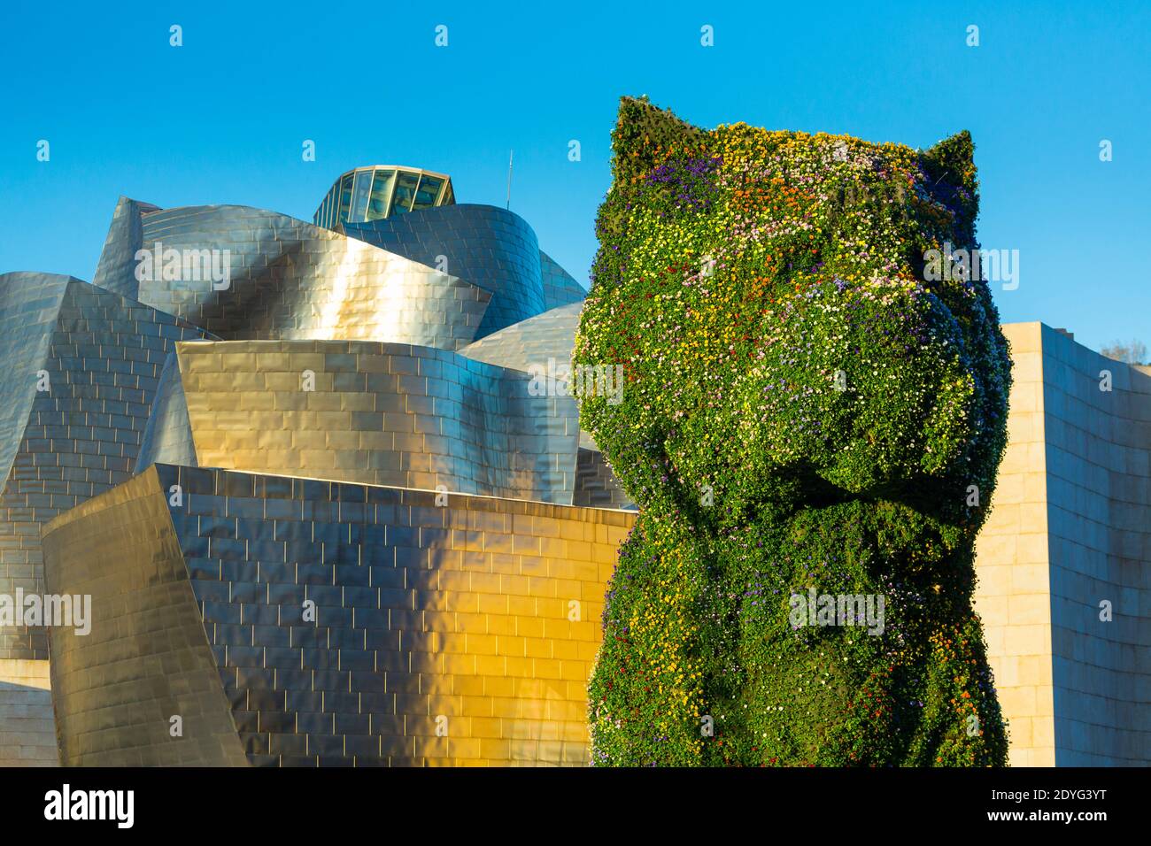 Puppy, Gugghenheim museum, Bilbao, The Basque Country, Spain, Europe Stock Photo