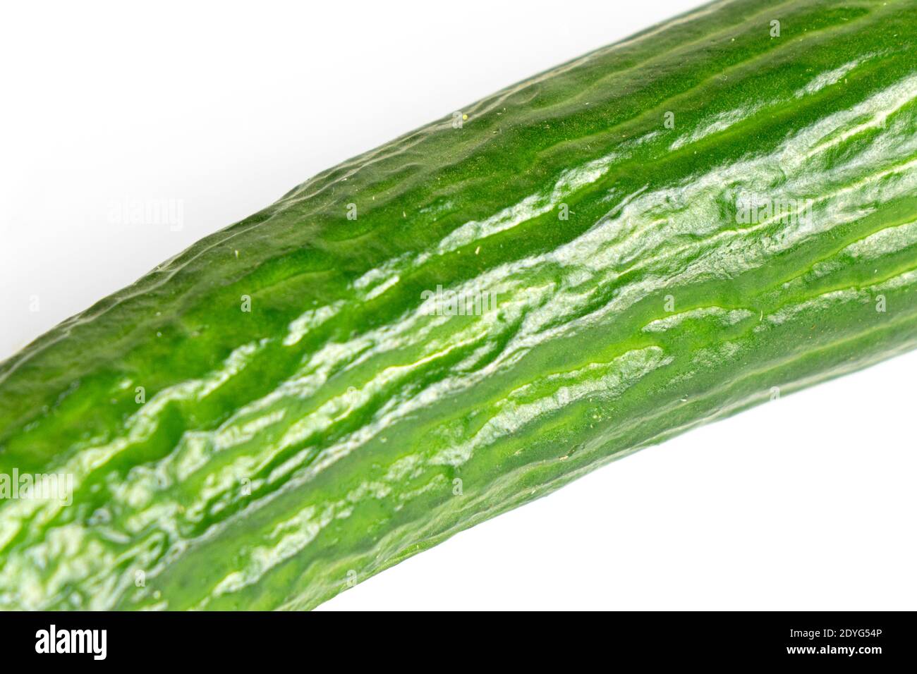 Fresh green cucumber isolated on white background Stock Photo