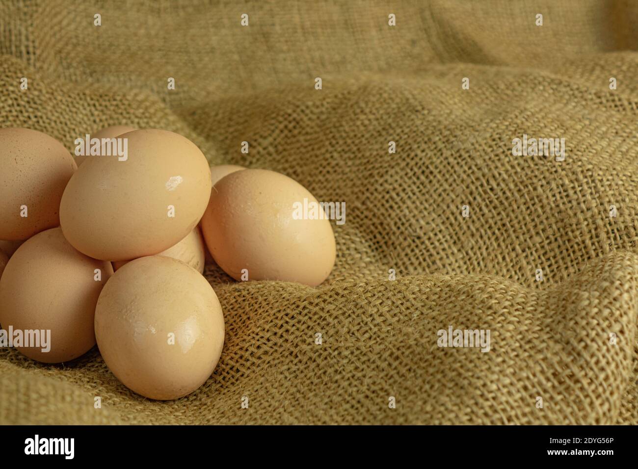 farm fresh chicken eggs on sackcloth background Stock Photo