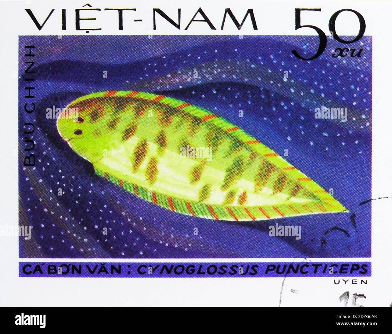 MOSCOW, RUSSIA - AUGUST 4, 2019: Postage stamp printed in Vietnam shows Speckled Tongue-sole (Cynoglossus puncticeps), Fish - Soles / Flatfish serie, Stock Photo