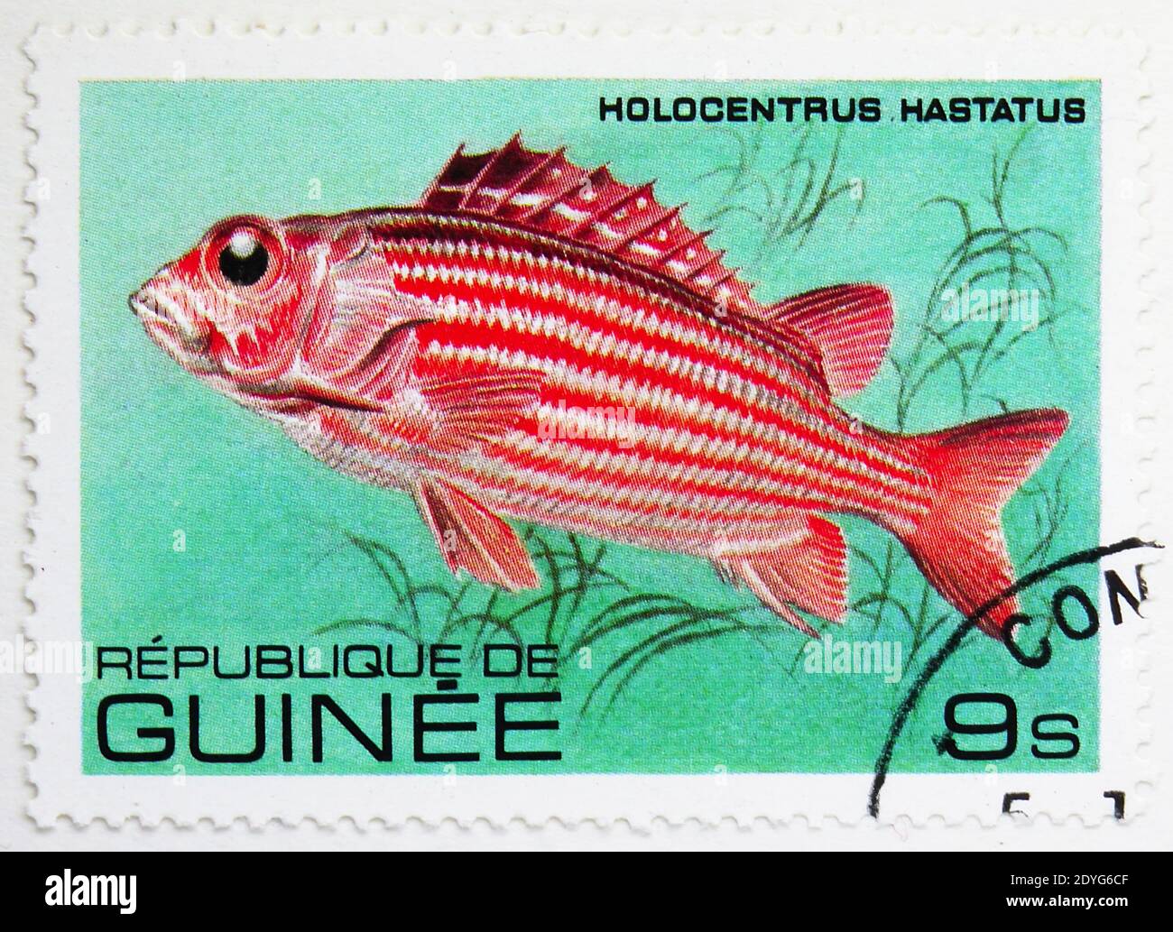 MOSCOW, RUSSIA - AUGUST 4, 2019: Postage stamp printed in Guinea shows Red Soldier Fish (Holocentrus hastatus), Fish serie, circa 1980 Stock Photo