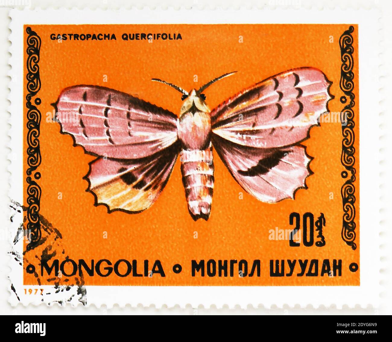 MOSCOW, RUSSIA - AUGUST 4, 2019: Postage stamp printed in Mongolia shows Lappet (Gastropacha quercifolia), Butterflies serie, circa 1977 Stock Photo