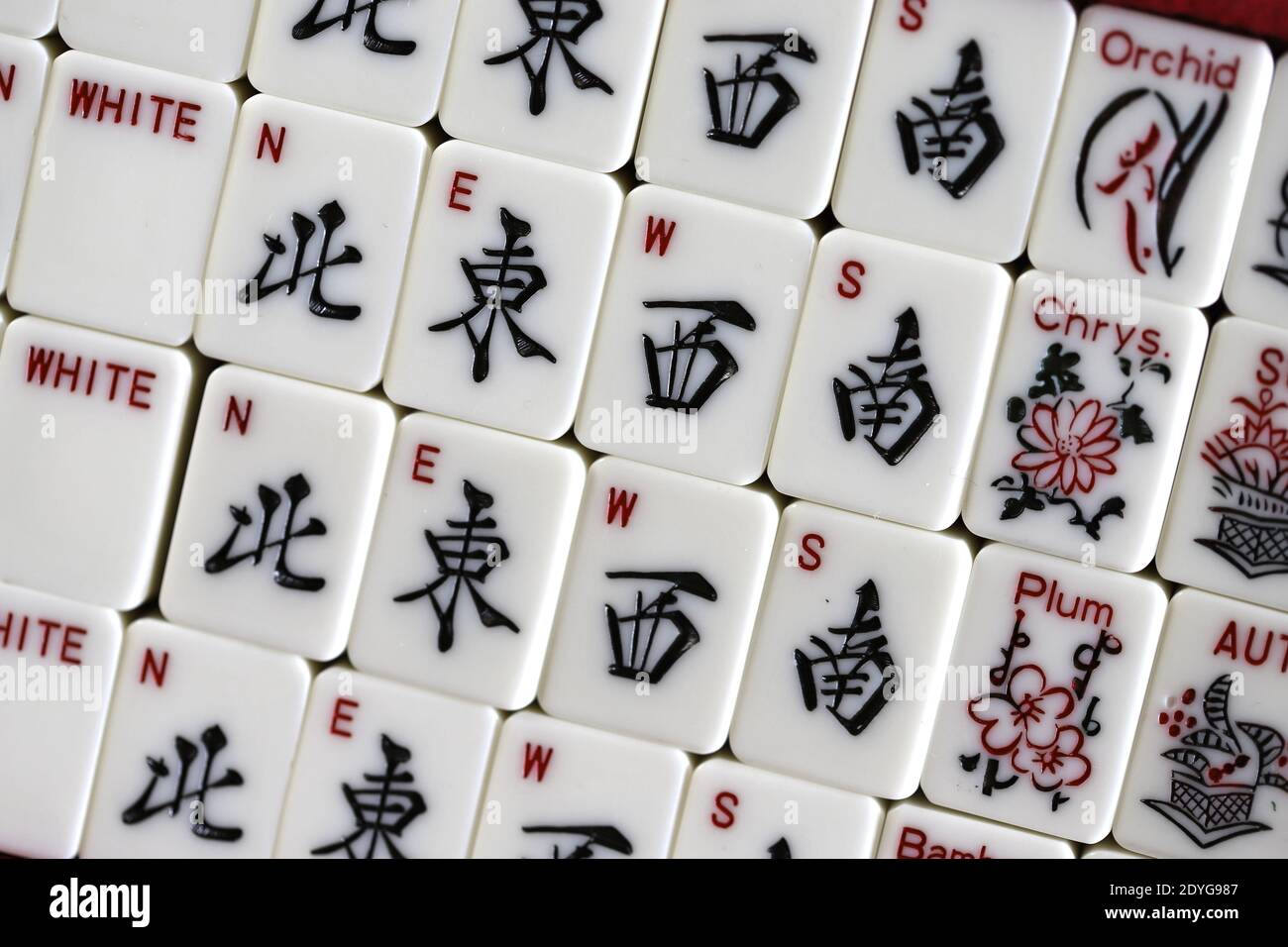 Decorative Mahjong set with Web