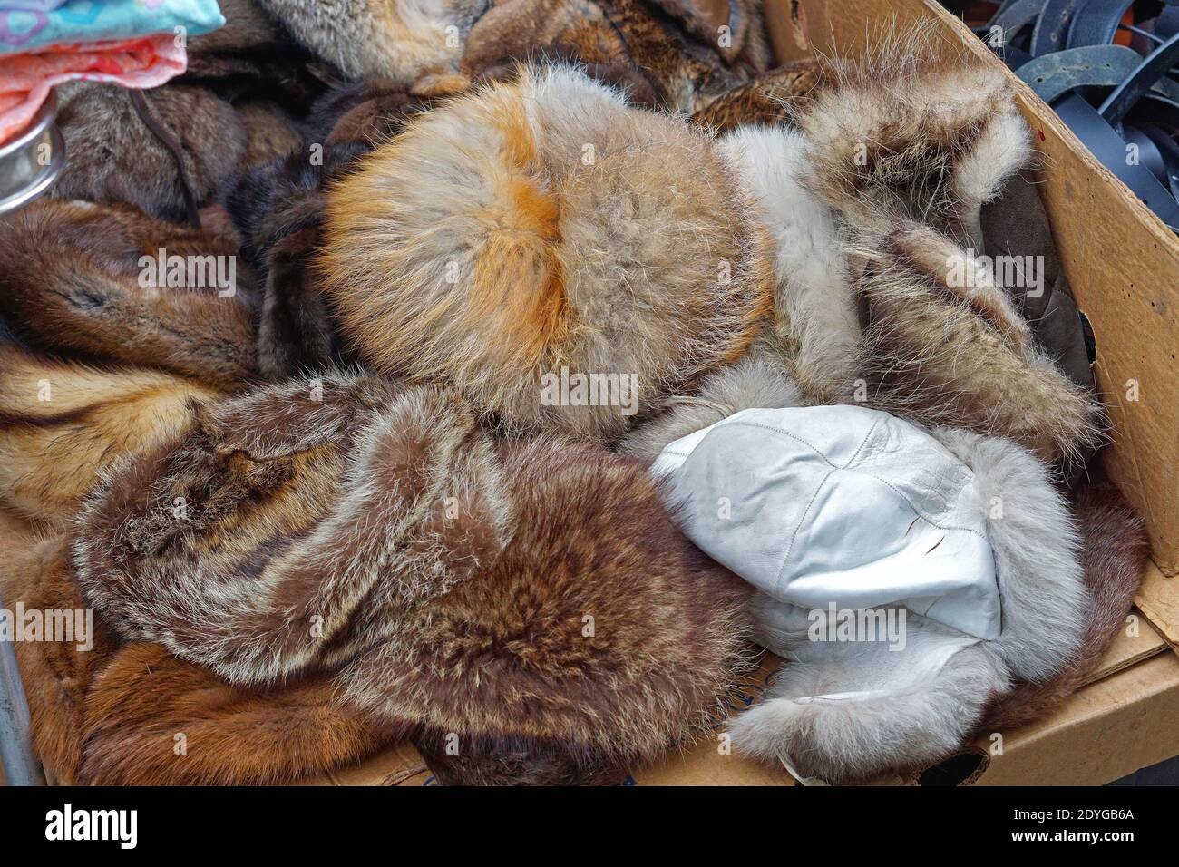 Big bunch of real fur hats winter clothing Stock Photo