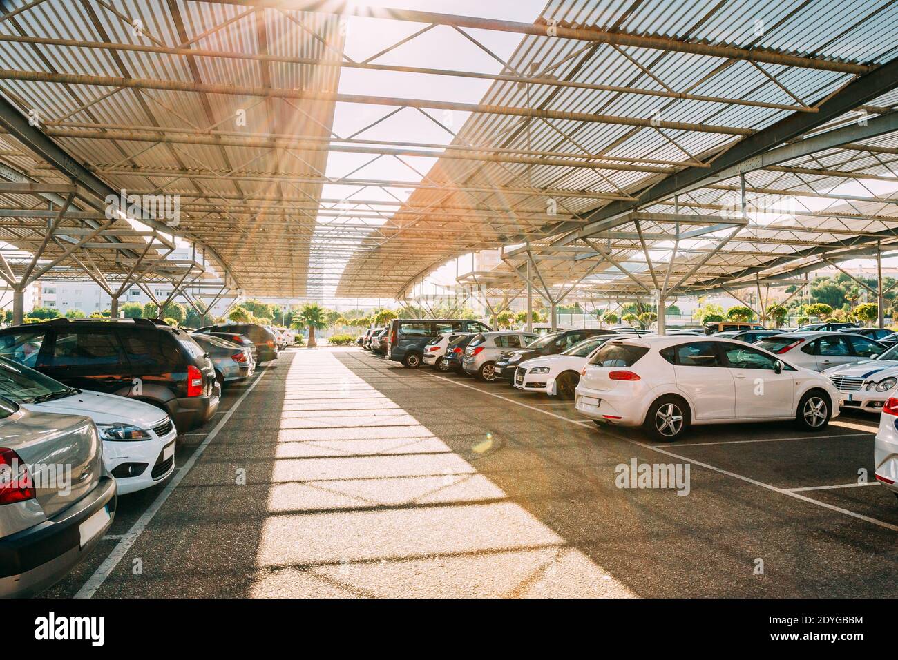 Cars on a covered parking lot in sunny summer day. Stock Photo