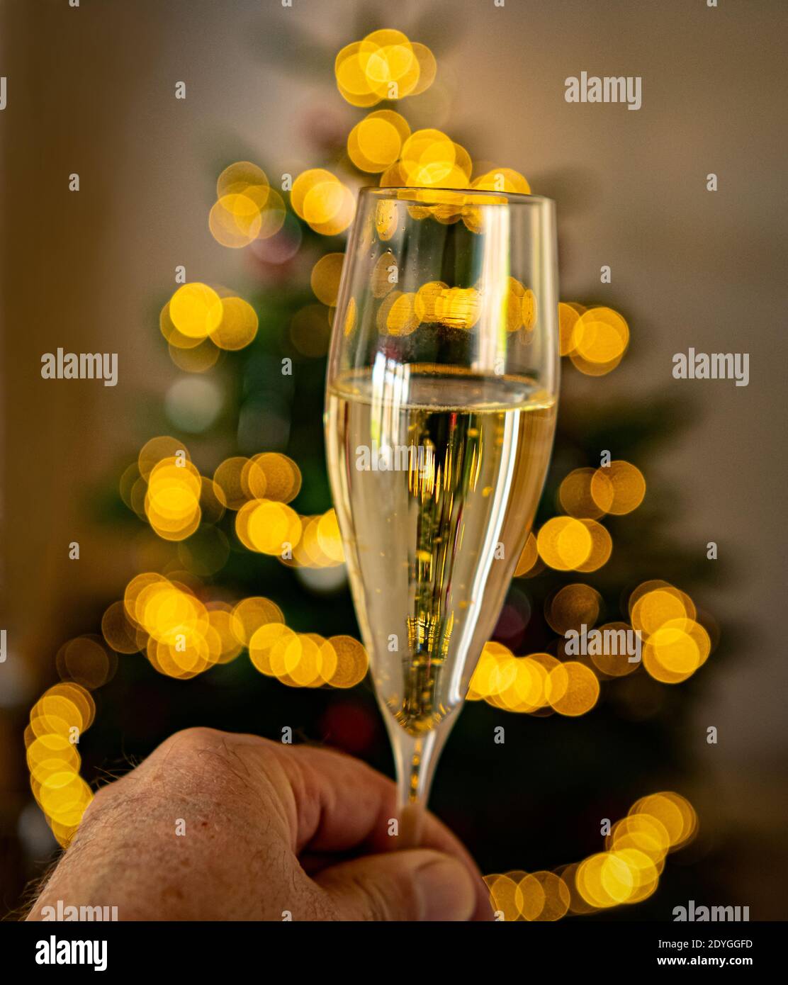 Celebratory toast with glass of golden bubbly Stock Photo