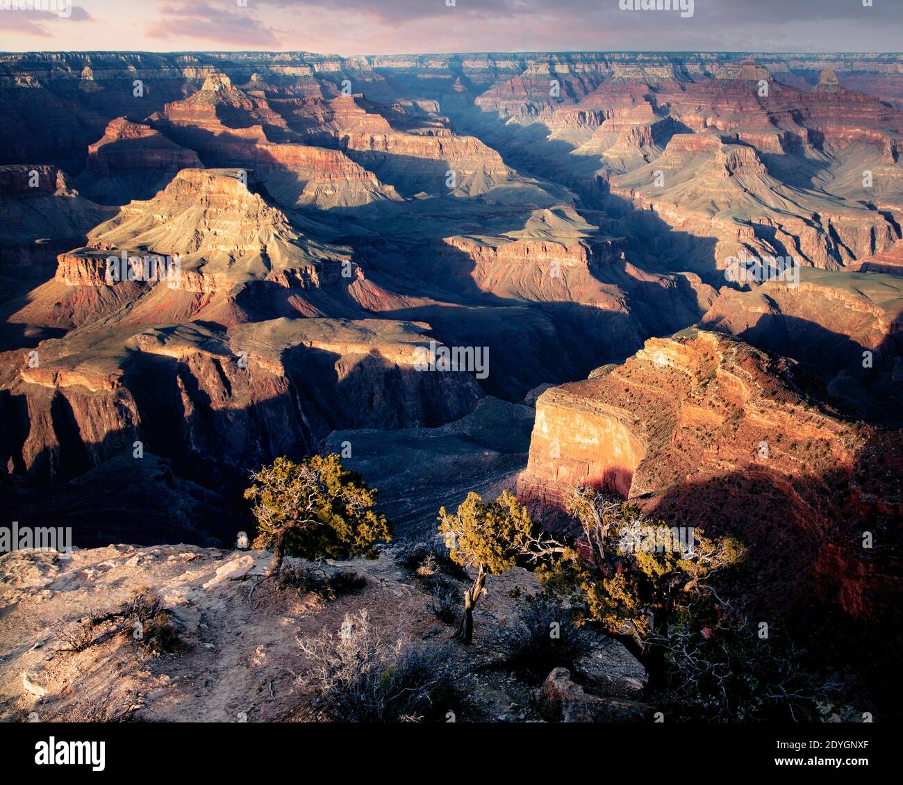 The Grand Canyon extends to the horizon as seen from Powell Point. Stock Photo