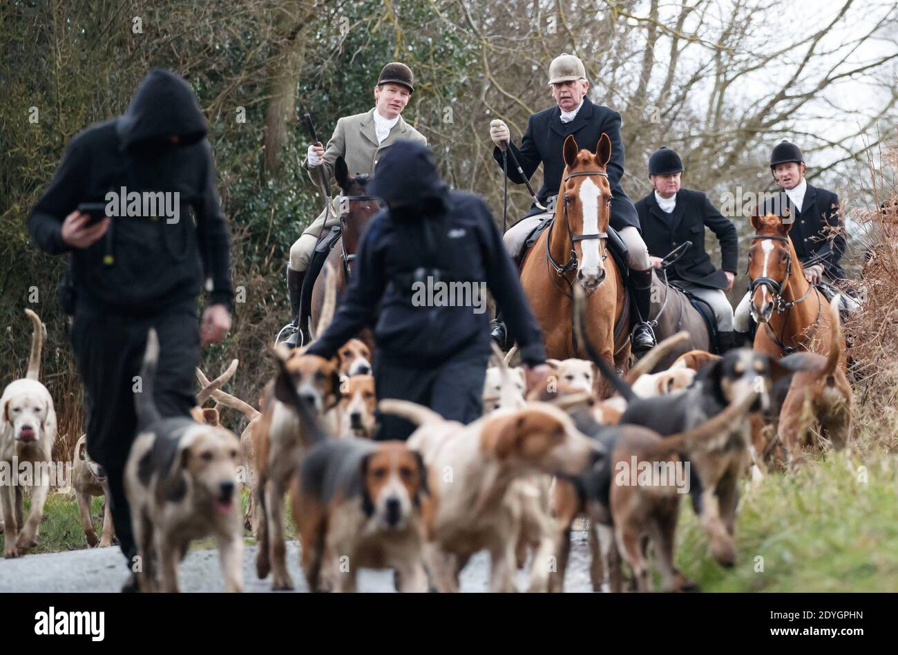Hunt saboteurs walk with the dog pack from a Boxing Day Hunt near Husthwaite, North Yorkshire