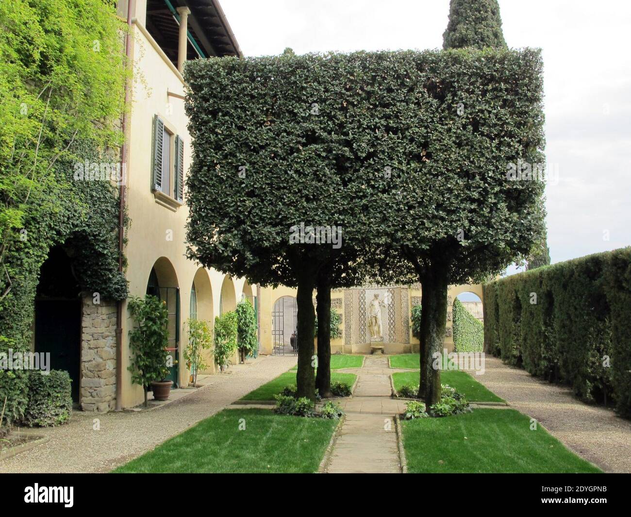 221253 OMBRELLONE DA Giardino con Palo in Legno Antracite 299x240 cm