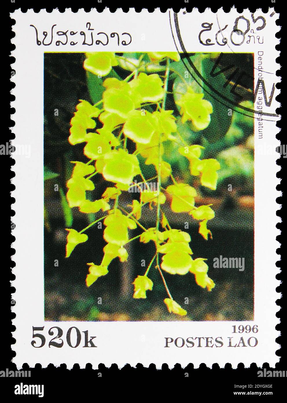MOSCOW, RUSSIA - AUGUST 8, 2019: Postage stamp printed in Laos shows Dendrobium aggregatum, Orchids serie, circa 1996 Stock Photo