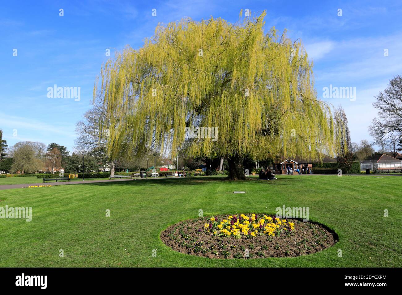 Spring view over Central Park, Park Crescent, Peterborough City