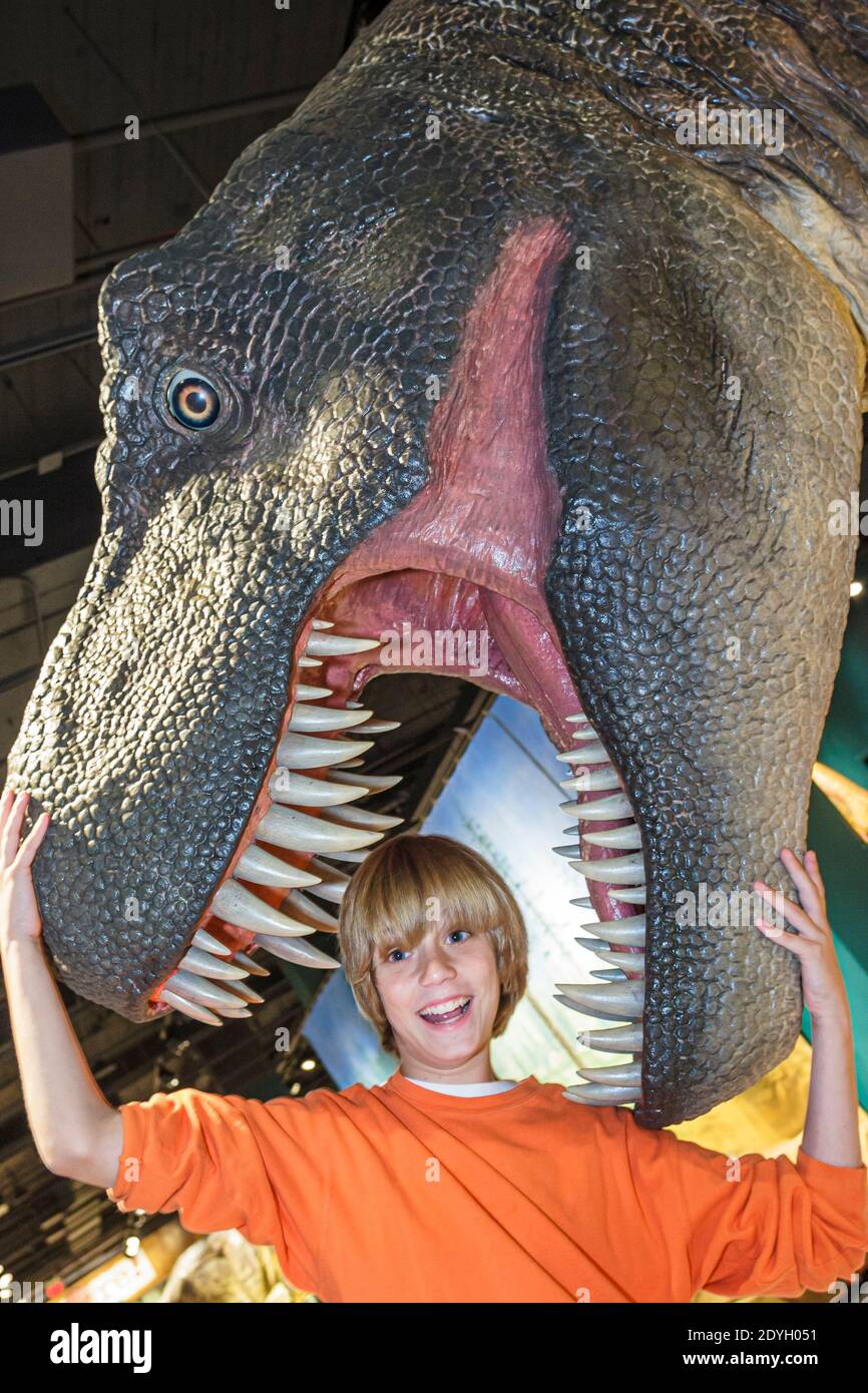 Birmingham Alabama,McWane Science Center centre hands on,Tyrannosaurus rex dinosaur statue life-like exhibit,teeth boy teeth humor humour, Stock Photo