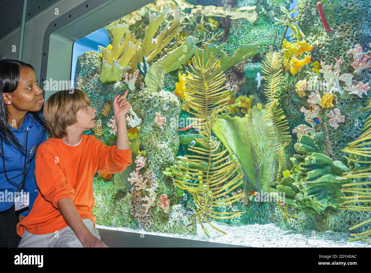 Birmingham Alabama,McWane Science Center centre hands on,exhibit World of Water Ocean's Edge aquarium,Black woman female volunteer explaining boy look Stock Photo