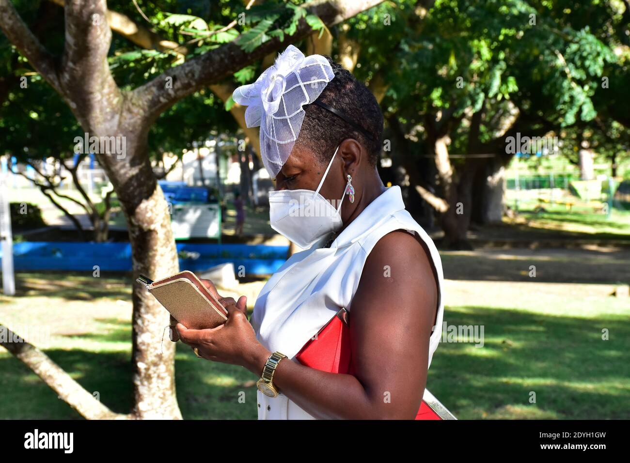 Christmas In Queens Park Barbados 2020 Stock Photo Alamy