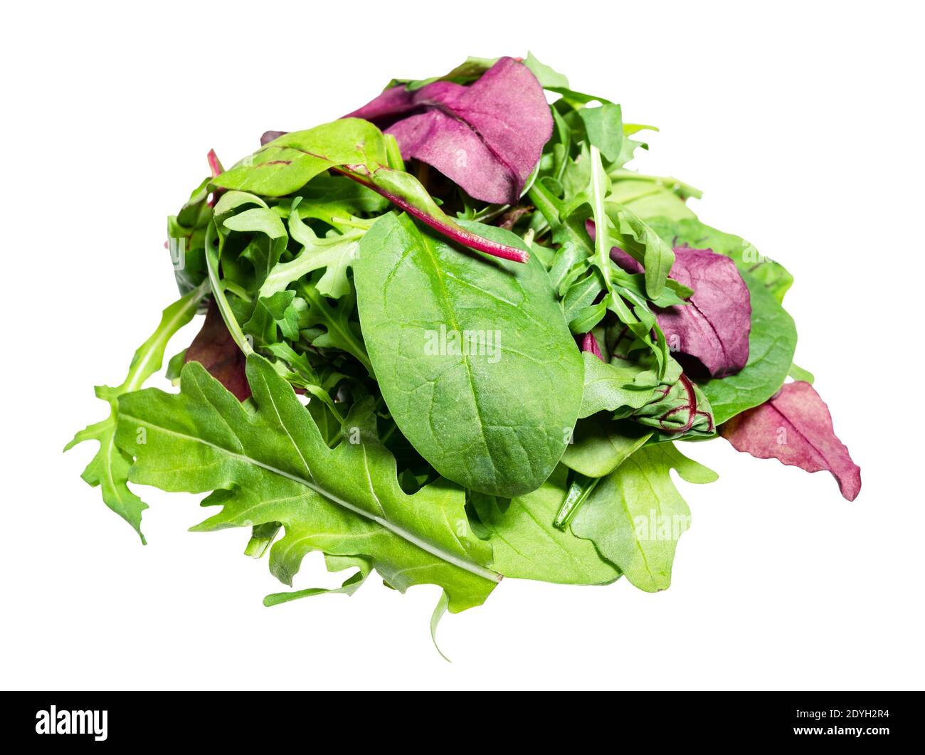 pile of various fresh leaves of leafy greens cut out on white background Stock Photo Alamy