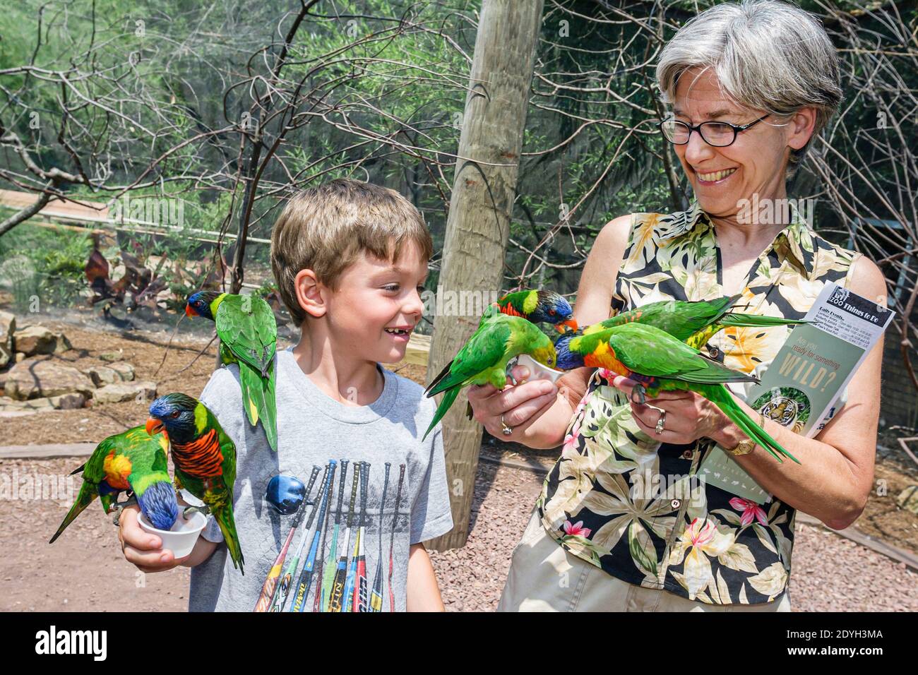 Birmingham Alabama,Zoo rainbow lorikeet parrots Trichoglossus