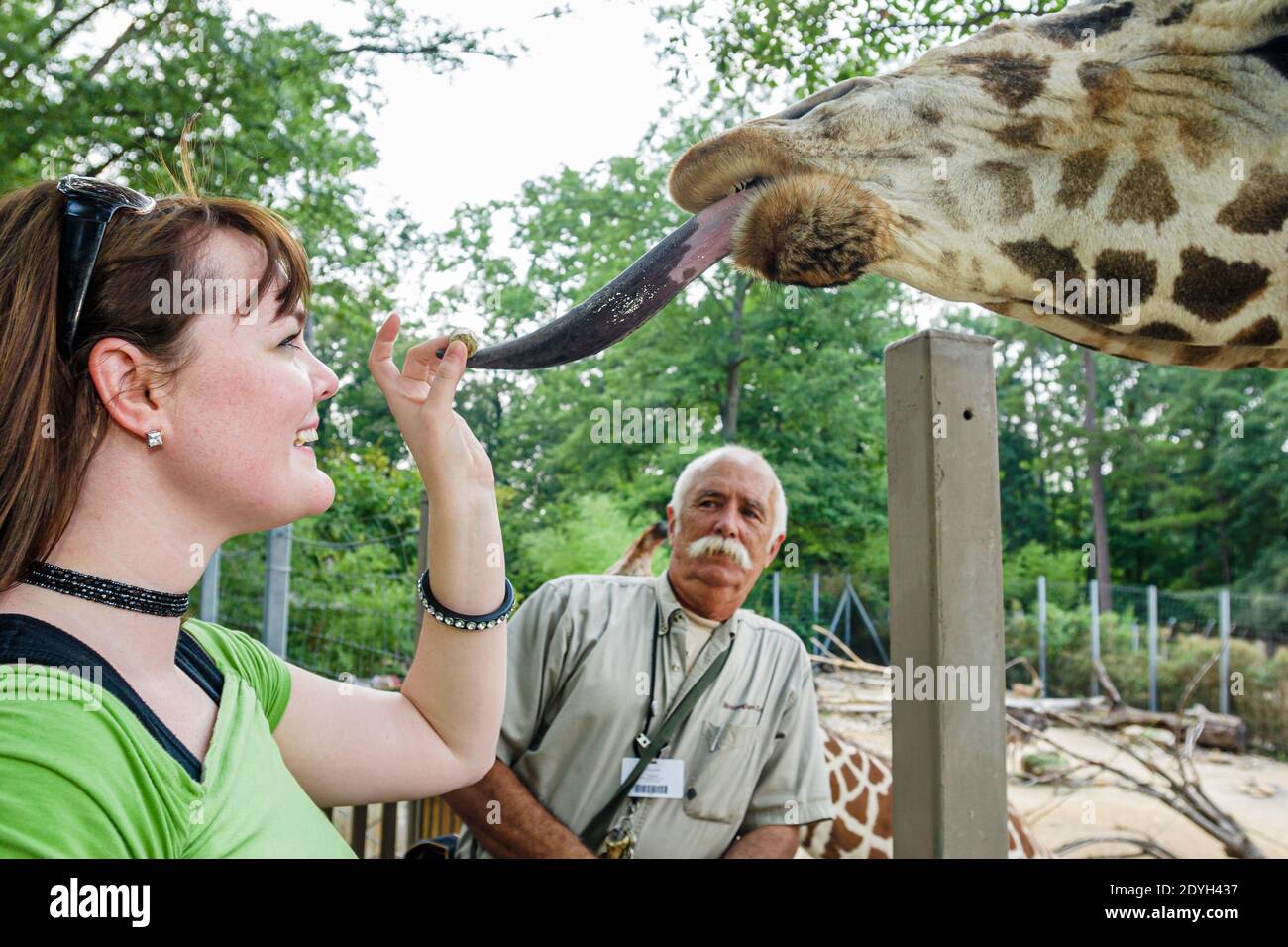 Alabama Birmingham,Zoo giraffe tongue feeding,teen teenage teenager