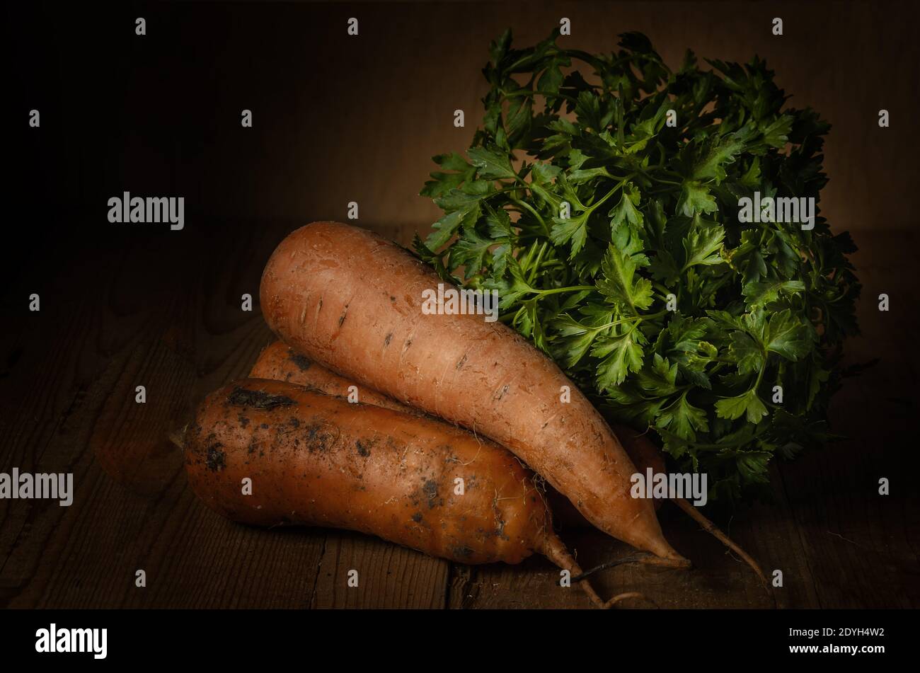 ripe carrots and a bunch of parsley in a rustic style on a dark wooden background Stock Photo
