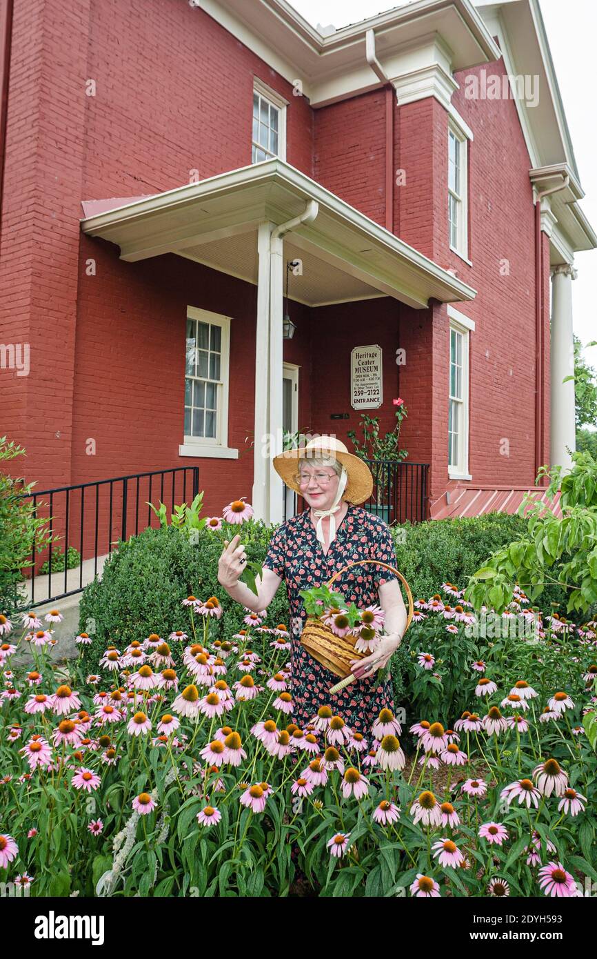 Alabama Scottsboro Heritage Center centre,Brown Proctor House 1880 Antebellum,coneflower garden senior woman female gardening, Stock Photo
