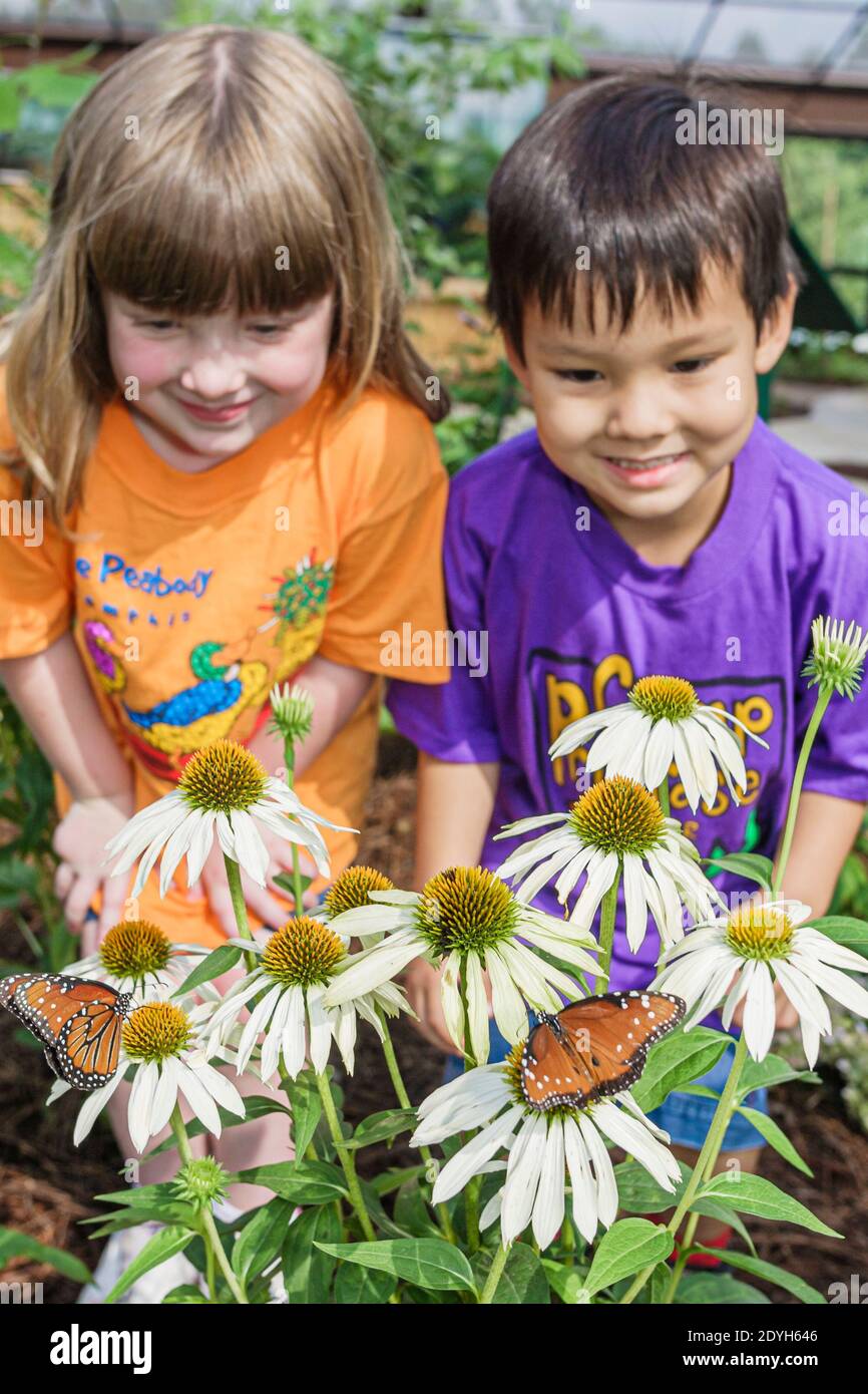 Alabama huntsville botanical garden butterfly house hires stock