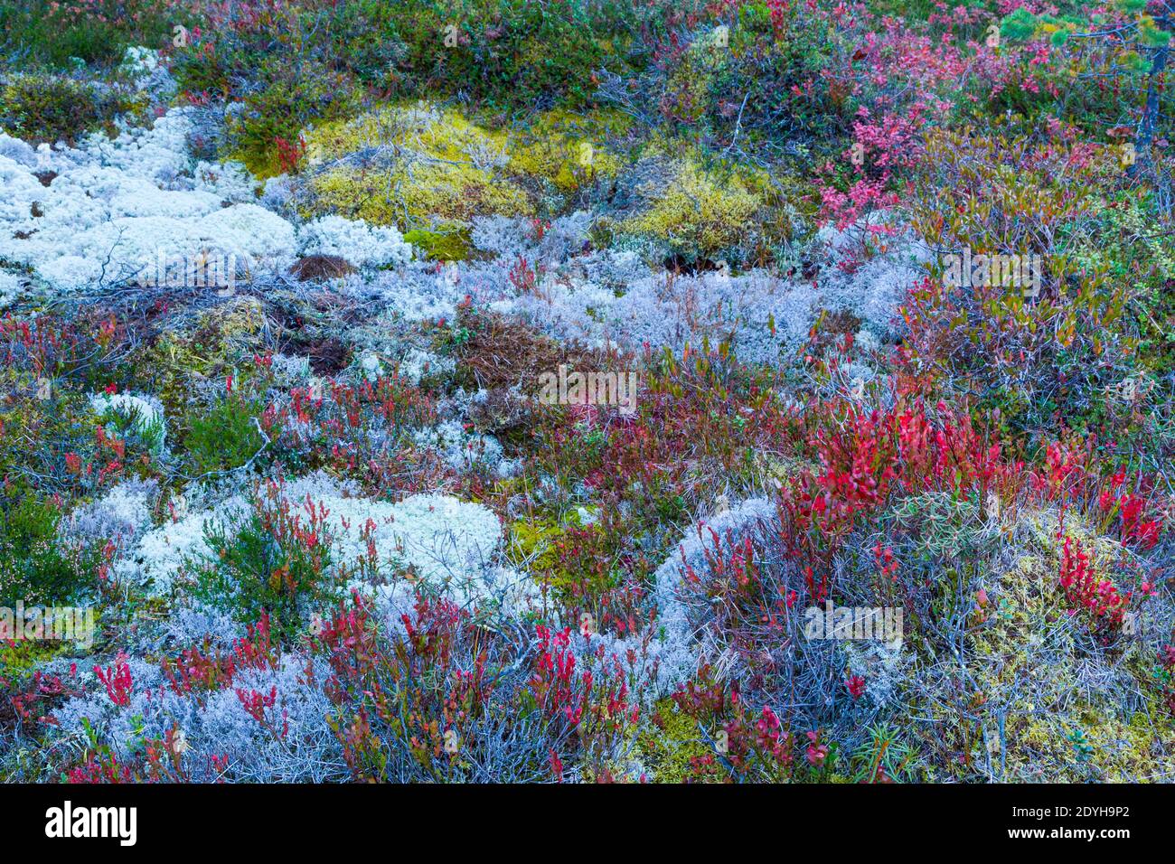 Colores de europa hi-res stock photography and images - Alamy