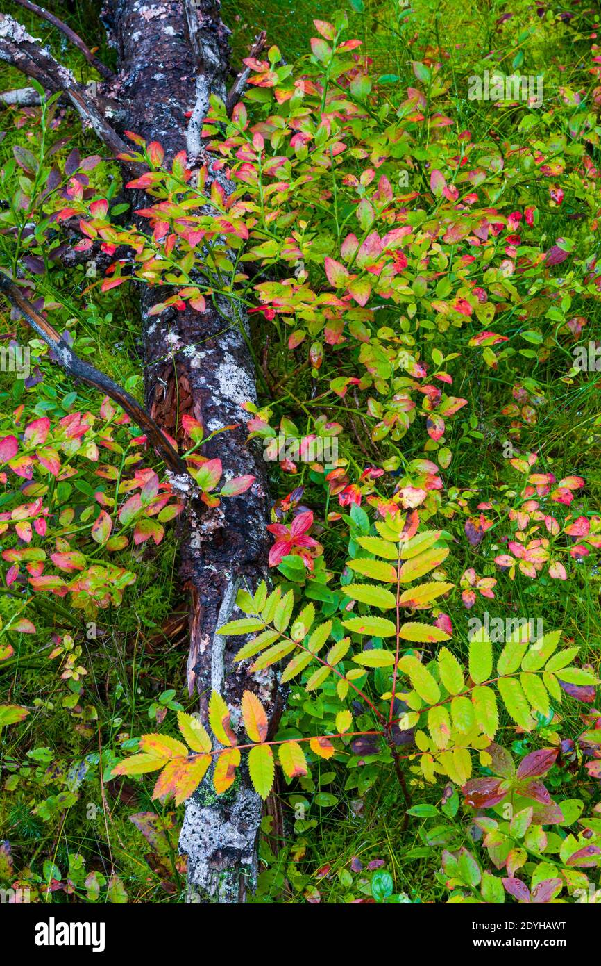 Colores de europa hi-res stock photography and images - Alamy