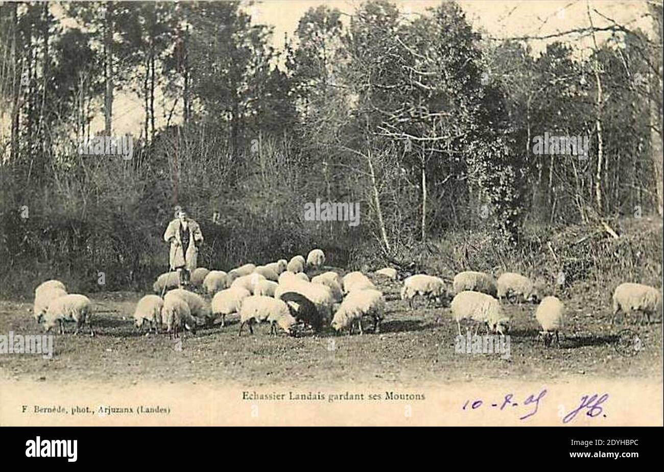 CPA PHOTO BERNEDE à ARJUZANX LANDES ÉCHASSE BERGÈR MOUTONS Au Bord de la LAGUNE EUR 8,90 - FR