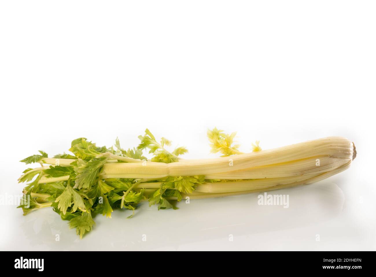 celery isolated on white background, copy space Stock Photo