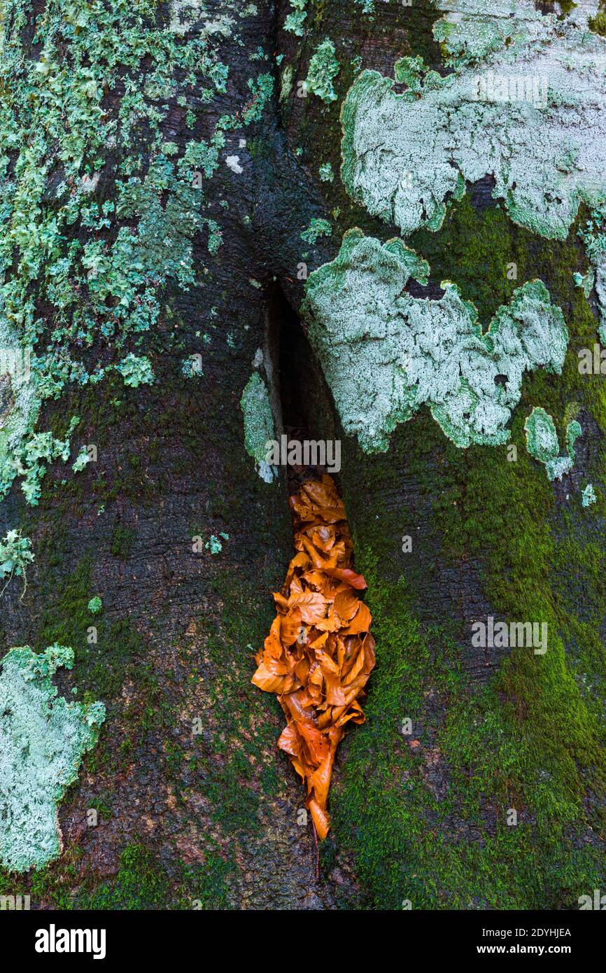 Redes de colores hi-res stock photography and images - Alamy
