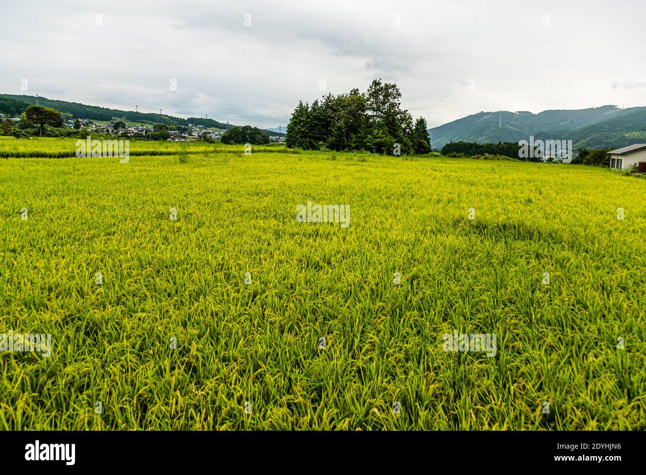 Sake Factury in Fujinomiya, Shzuoka, Japan Stock Photo